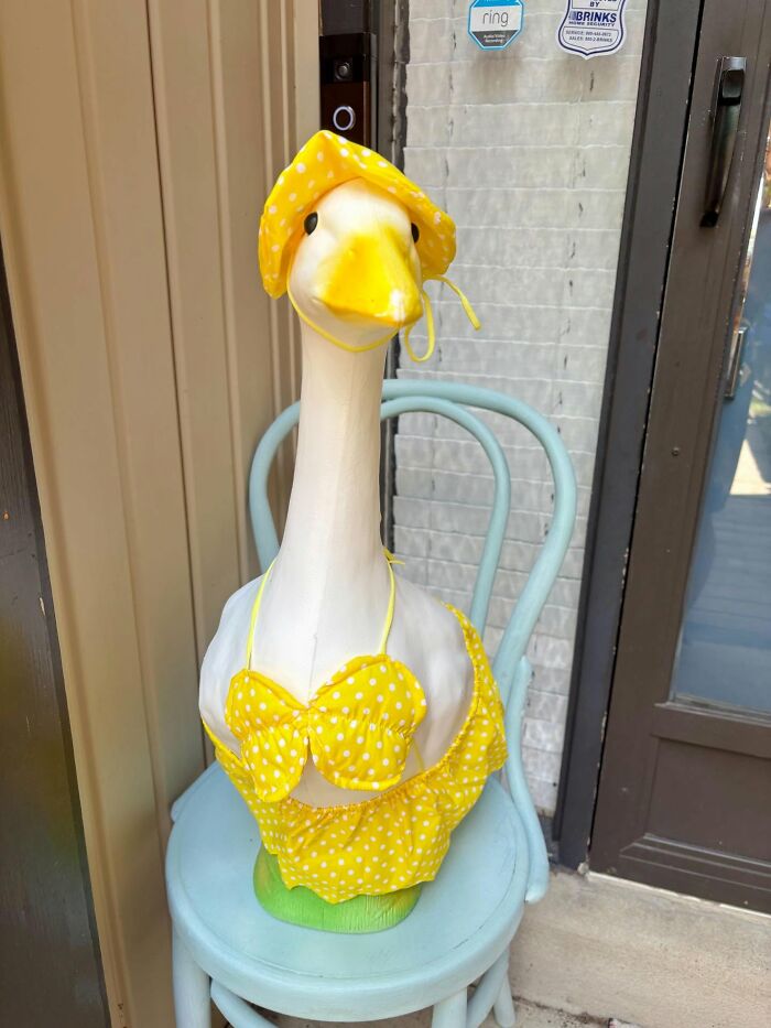 93 Decor Pieces That Made Peoples Homes A More Magical Place