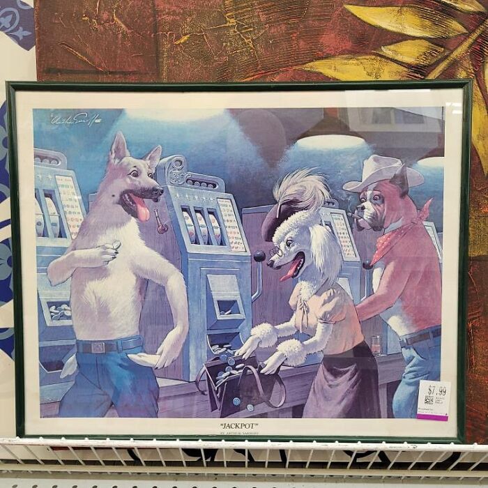 64 Times People Stumbled Upon The Most Bizarre Things At Thrift Stores (New Pics)