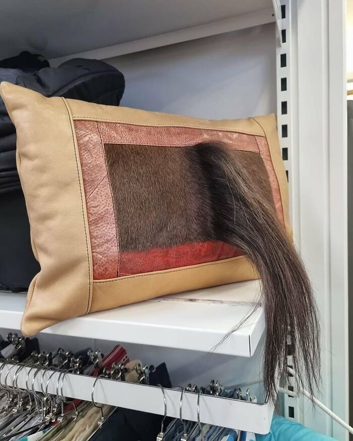 64 Times People Stumbled Upon The Most Bizarre Things At Thrift Stores (New Pics)