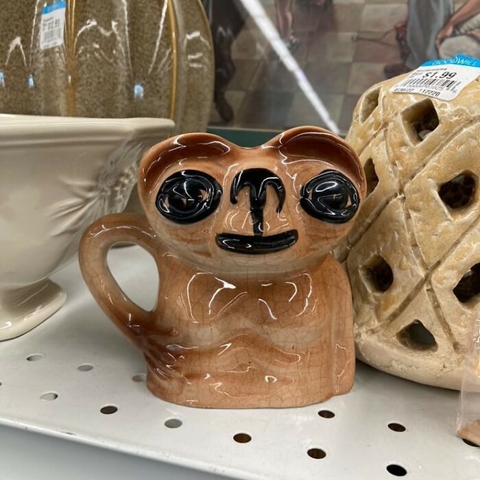 64 Times People Stumbled Upon The Most Bizarre Things At Thrift Stores (New Pics)