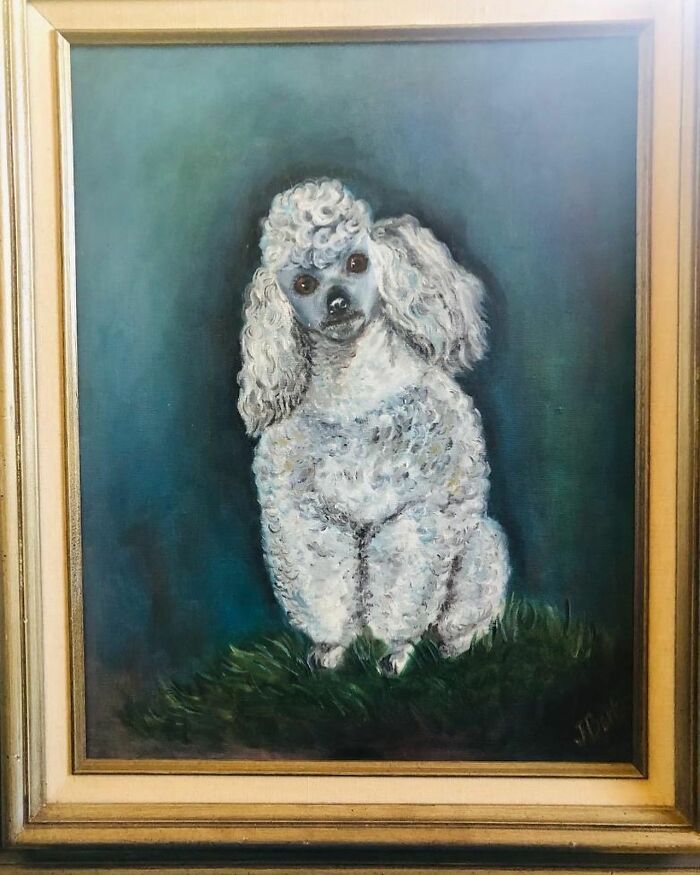 64 Times People Stumbled Upon The Most Bizarre Things At Thrift Stores (New Pics)