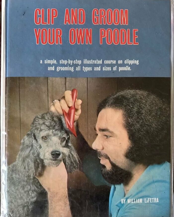 64 Times People Stumbled Upon The Most Bizarre Things At Thrift Stores (New Pics)