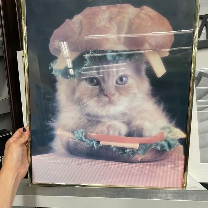 64 Times People Stumbled Upon The Most Bizarre Things At Thrift Stores (New Pics)