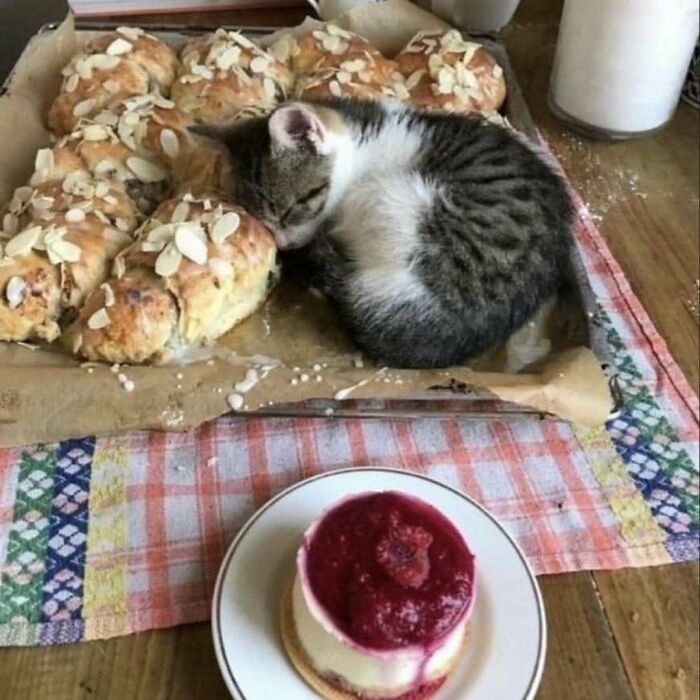 This IG Page Disturbs 200K Fans With Daily Cursed Images And Here Are 116 Of Their Newest Ones