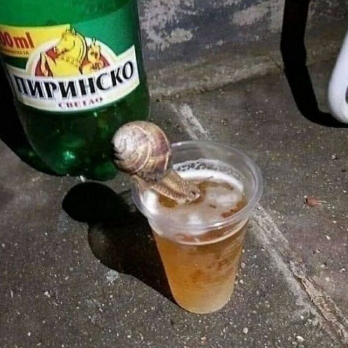 This IG Page Disturbs 200K Fans With Daily Cursed Images And Here Are 116 Of Their Newest Ones