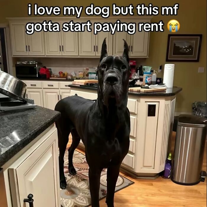 This IG Page Disturbs 200K Fans With Daily Cursed Images And Here Are 116 Of Their Newest Ones