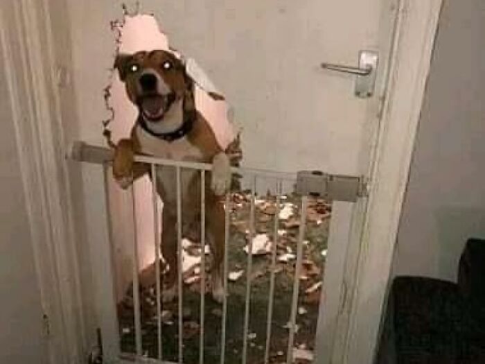 This IG Page Disturbs 200K Fans With Daily Cursed Images And Here Are 116 Of Their Newest Ones