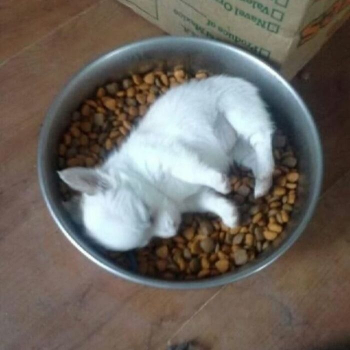 This IG Page Disturbs 200K Fans With Daily Cursed Images And Here Are 116 Of Their Newest Ones