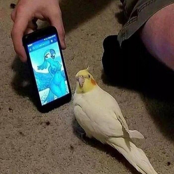 This IG Page Disturbs 200K Fans With Daily Cursed Images And Here Are 116 Of Their Newest Ones