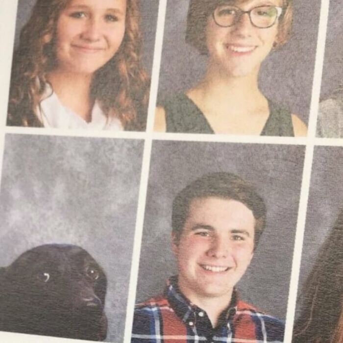 This IG Page Disturbs 200K Fans With Daily Cursed Images And Here Are 116 Of Their Newest Ones