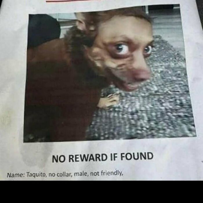 This IG Page Disturbs 200K Fans With Daily Cursed Images And Here Are 116 Of Their Newest Ones