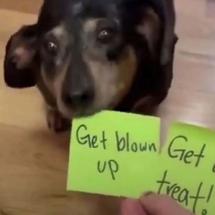 This IG Page Disturbs 200K Fans With Daily Cursed Images And Here Are 116 Of Their Newest Ones