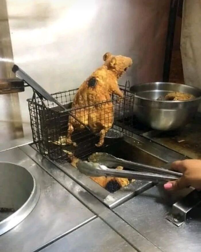 This IG Page Disturbs 200K Fans With Daily Cursed Images And Here Are 116 Of Their Newest Ones