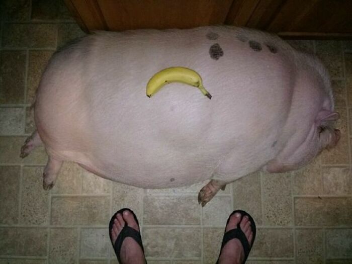 This IG Page Disturbs 200K Fans With Daily Cursed Images And Here Are 116 Of Their Newest Ones