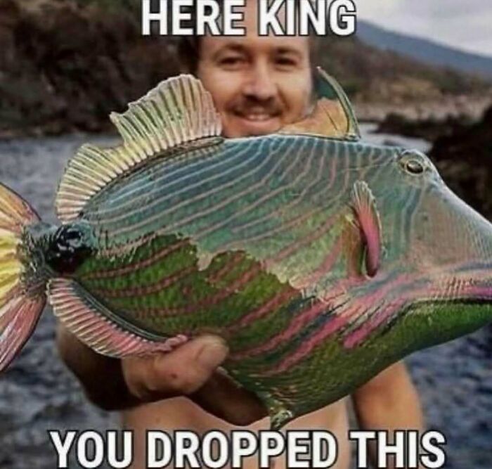 This IG Page Disturbs 200K Fans With Daily Cursed Images And Here Are 116 Of Their Newest Ones