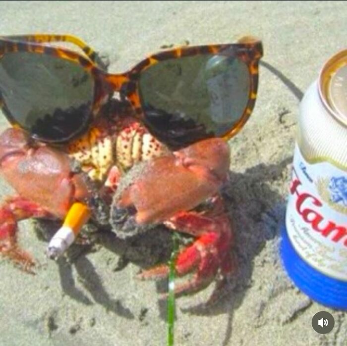 This IG Page Disturbs 200K Fans With Daily Cursed Images And Here Are 116 Of Their Newest Ones