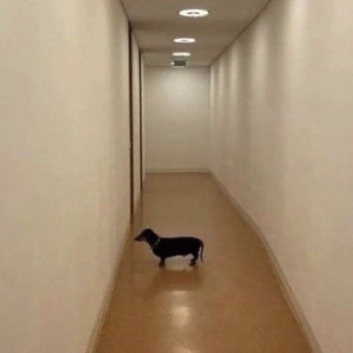 This IG Page Disturbs 200K Fans With Daily Cursed Images And Here Are 116 Of Their Newest Ones