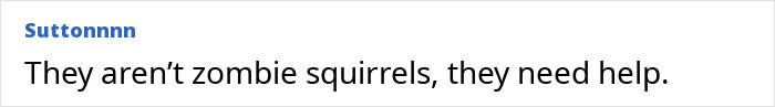 &#8220;First Rabbits, Now The Squirrels?&#8221;: &#8216;Zombie Squirrels&#8217; With Oozing Flesh Terrify US Homeowners