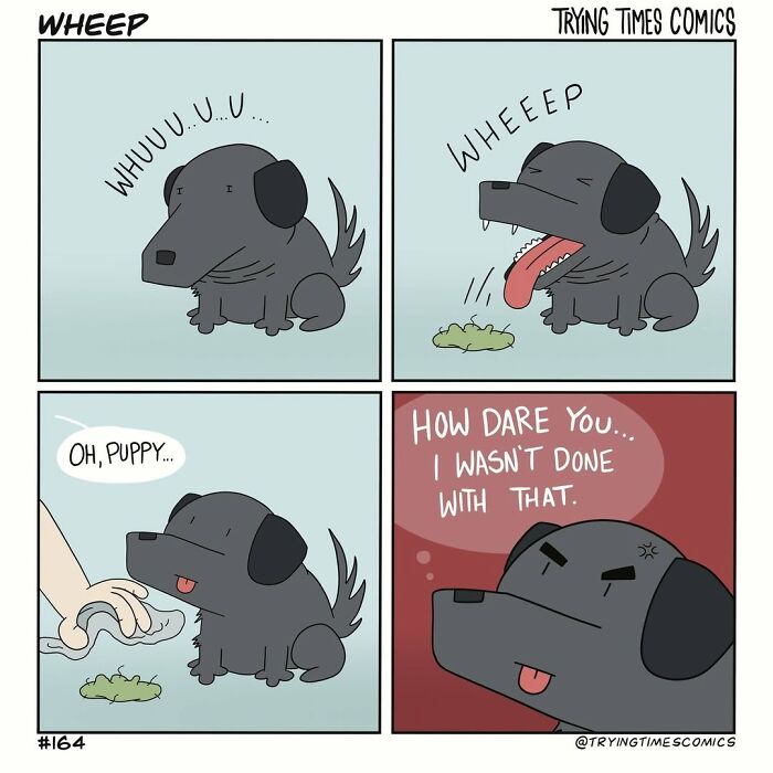 15 Animal-Themed Comics By Trying Times Comics That Might Warm Your Heart And Make You Laugh