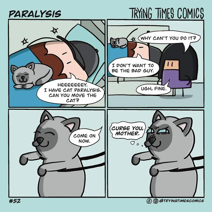 15 Animal-Themed Comics By Trying Times Comics That Might Warm Your Heart And Make You Laugh