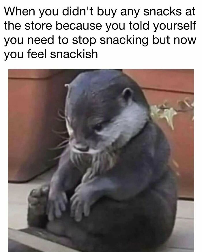 98 Hilarious Memes For Your Daily Dose Of Laughter And Good Vibes (New Pics)