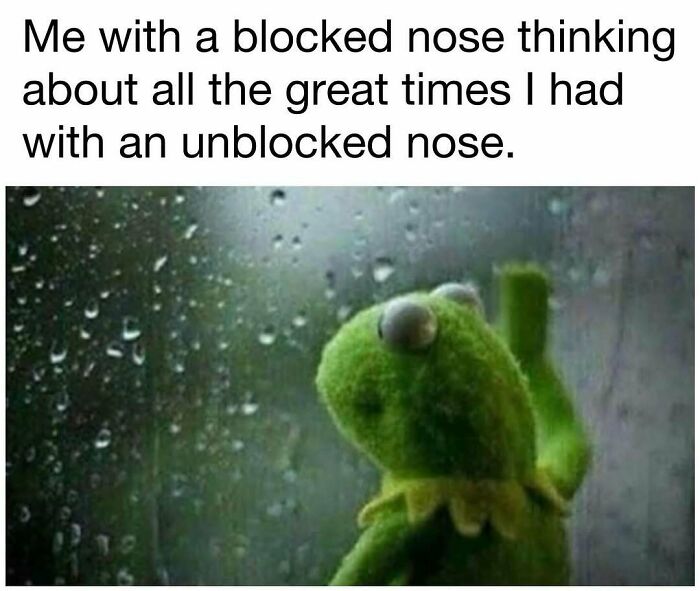 98 Hilarious Memes For Your Daily Dose Of Laughter And Good Vibes (New Pics)