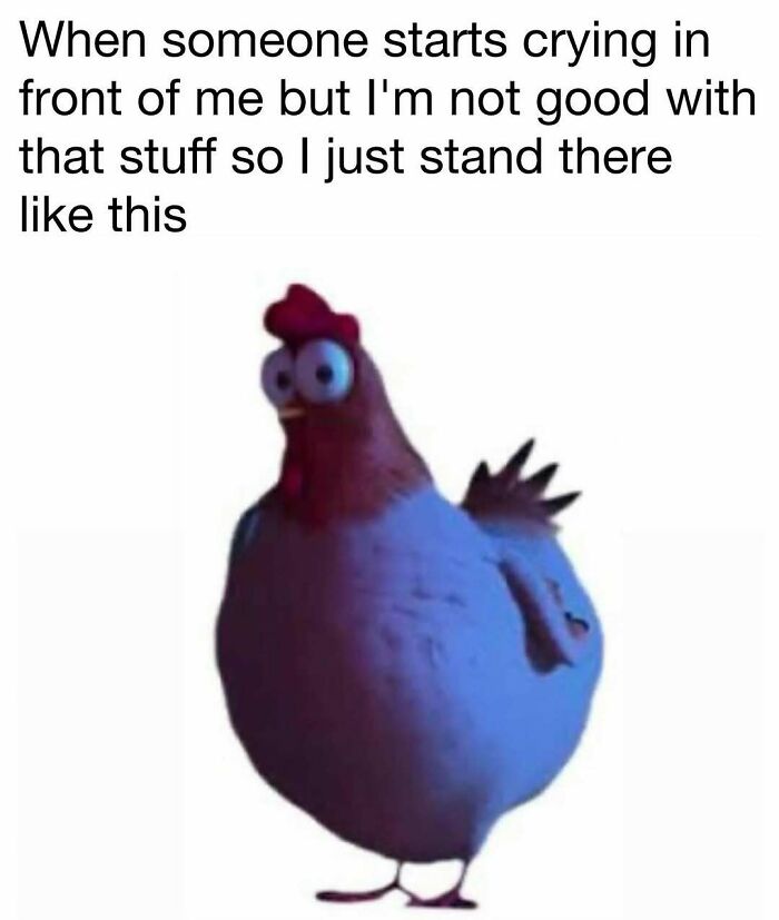 98 Hilarious Memes For Your Daily Dose Of Laughter And Good Vibes (New Pics)