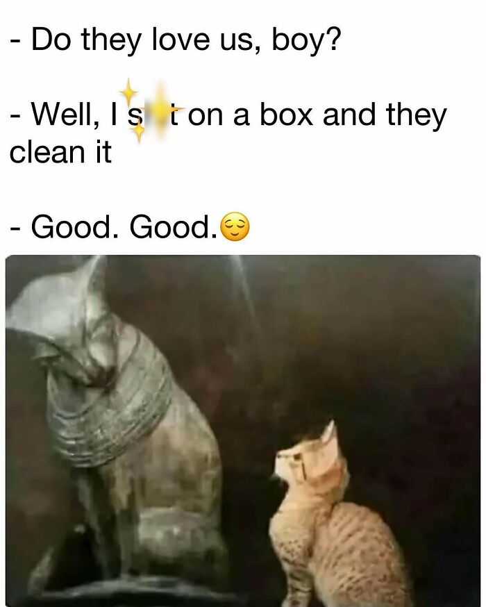 98 Hilarious Memes For Your Daily Dose Of Laughter And Good Vibes (New Pics)