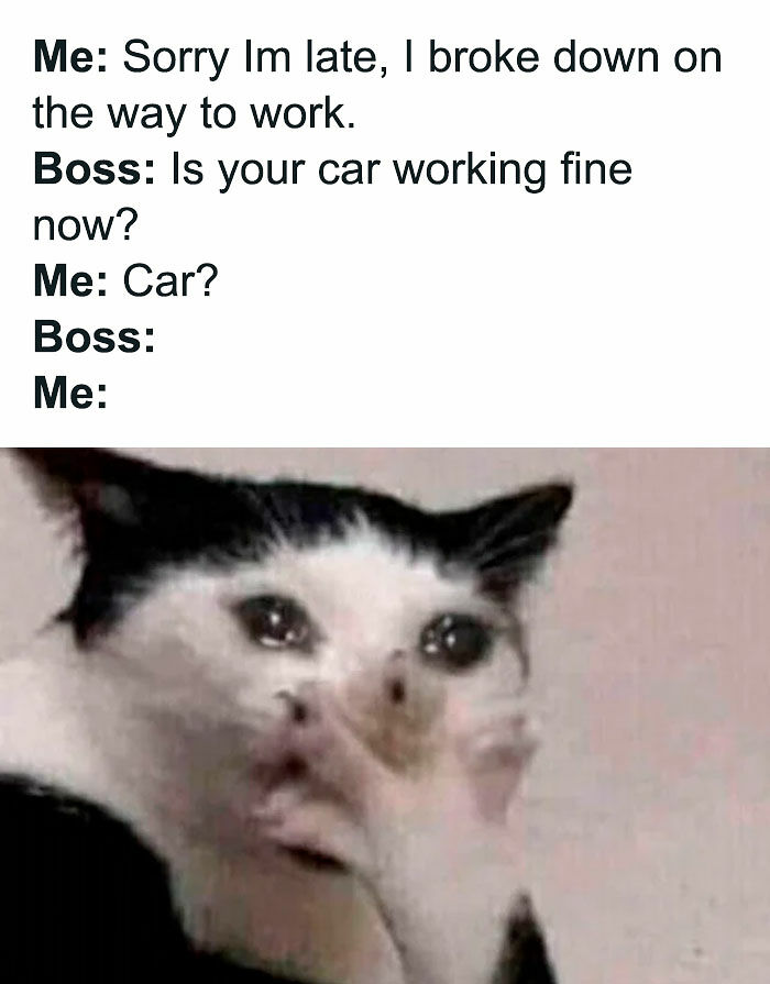 98 Hilarious Memes For Your Daily Dose Of Laughter And Good Vibes (New Pics)