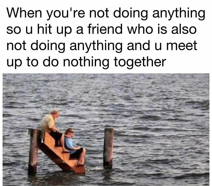 98 Hilarious Memes For Your Daily Dose Of Laughter And Good Vibes (New Pics)