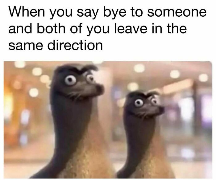 98 Hilarious Memes For Your Daily Dose Of Laughter And Good Vibes (New Pics)