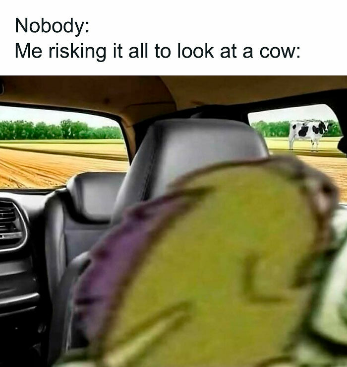 98 Hilarious Memes For Your Daily Dose Of Laughter And Good Vibes (New Pics)