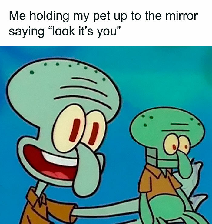 98 Hilarious Memes For Your Daily Dose Of Laughter And Good Vibes (New Pics)
