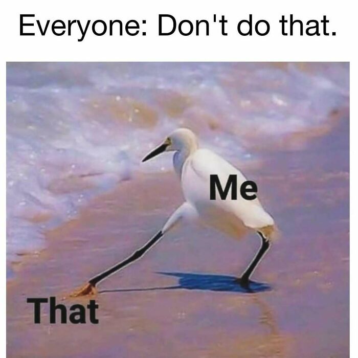 98 Hilarious Memes For Your Daily Dose Of Laughter And Good Vibes (New Pics)