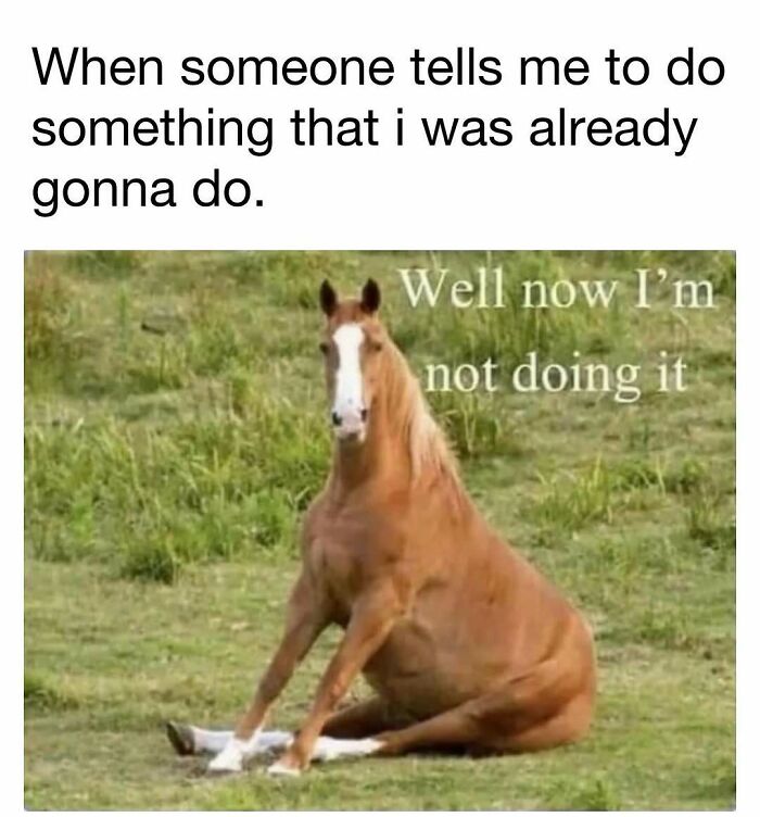 98 Hilarious Memes For Your Daily Dose Of Laughter And Good Vibes (New Pics)