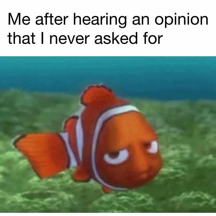 98 Hilarious Memes For Your Daily Dose Of Laughter And Good Vibes (New Pics)