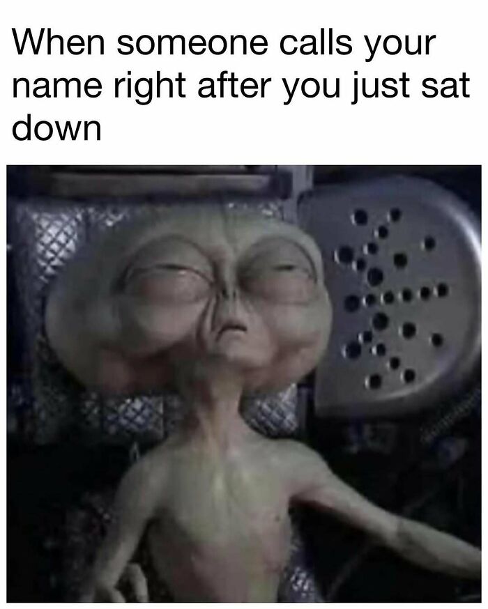 98 Hilarious Memes For Your Daily Dose Of Laughter And Good Vibes (New Pics)