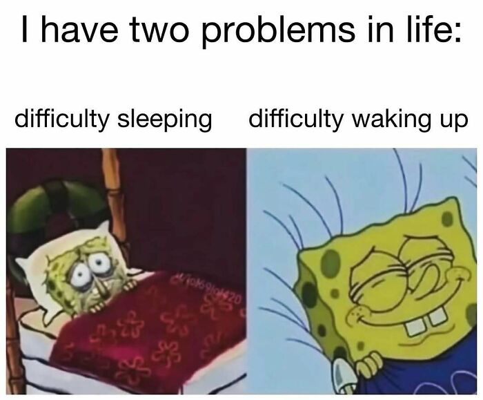 98 Hilarious Memes For Your Daily Dose Of Laughter And Good Vibes (New Pics)