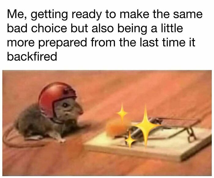 98 Hilarious Memes For Your Daily Dose Of Laughter And Good Vibes (New Pics)