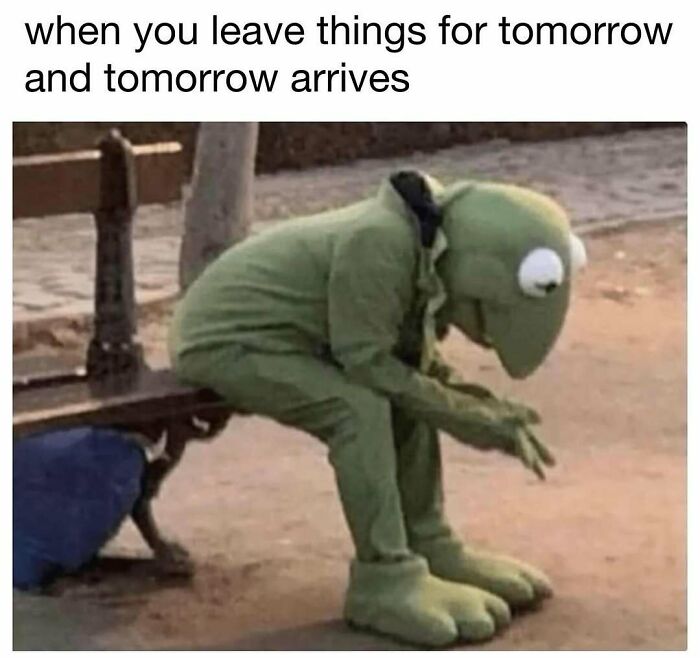 98 Hilarious Memes For Your Daily Dose Of Laughter And Good Vibes (New Pics)