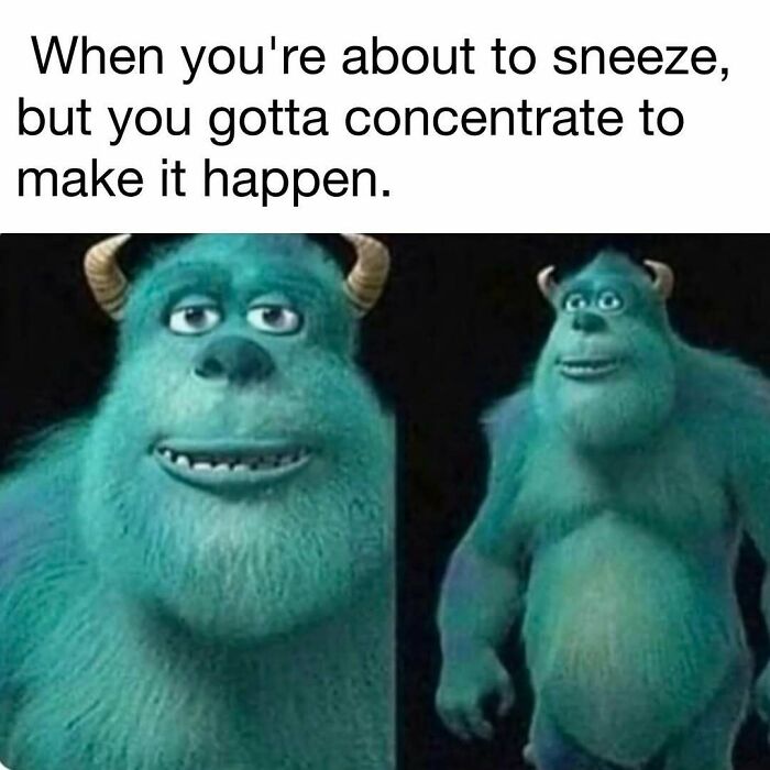 98 Hilarious Memes For Your Daily Dose Of Laughter And Good Vibes (New Pics)
