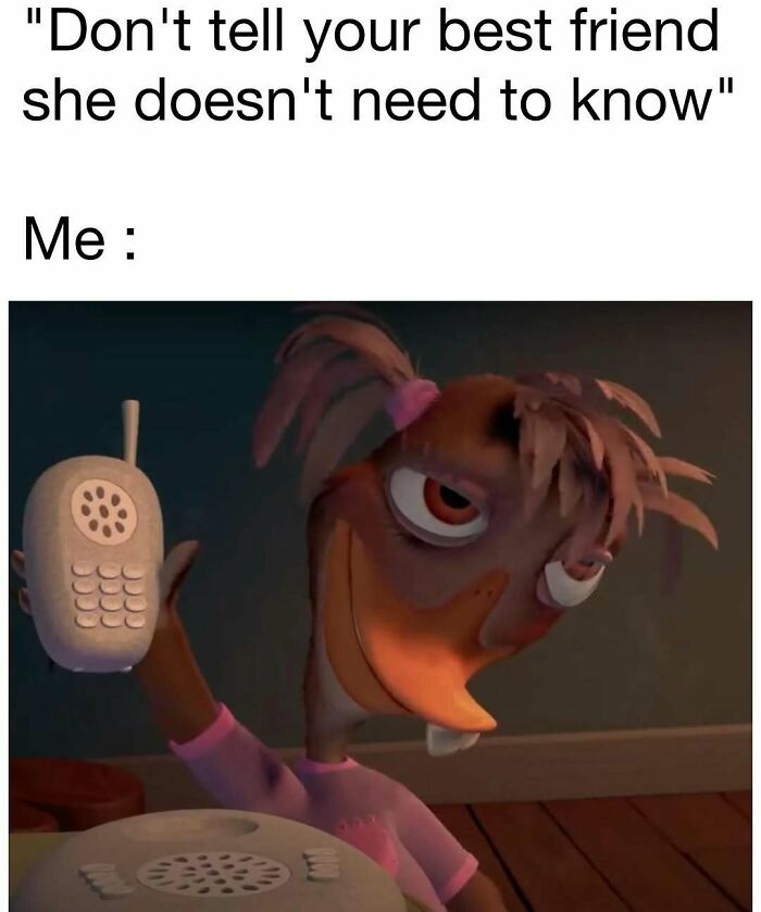 98 Hilarious Memes For Your Daily Dose Of Laughter And Good Vibes (New Pics)