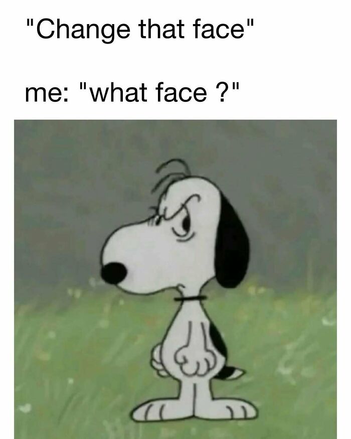 98 Hilarious Memes For Your Daily Dose Of Laughter And Good Vibes (New Pics)