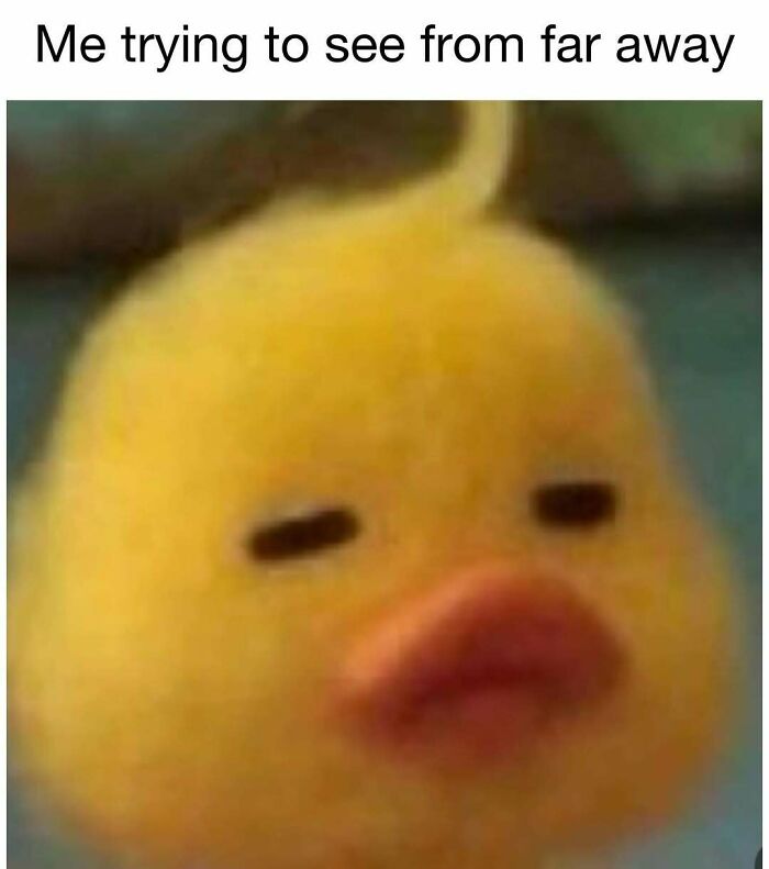 98 Hilarious Memes For Your Daily Dose Of Laughter And Good Vibes (New Pics)