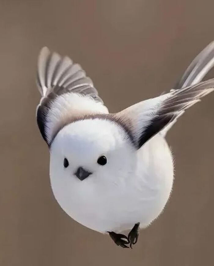 136 Adorable And Beautiful Animals That Might Brighten Up Your Day