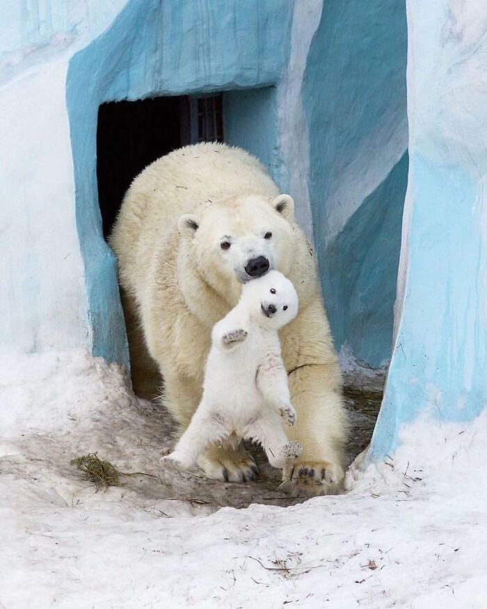 136 Adorable And Beautiful Animals That Might Brighten Up Your Day