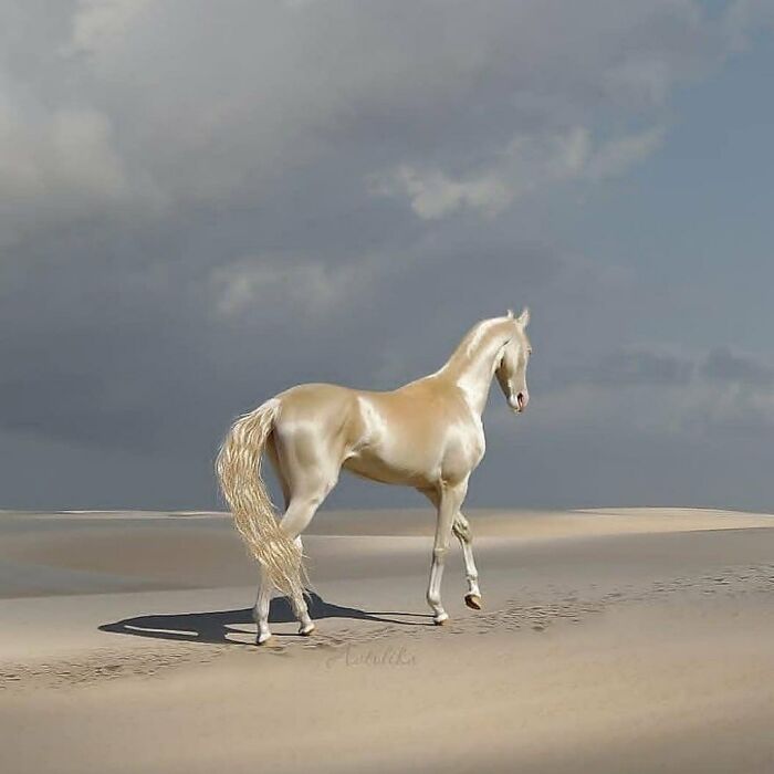 136 Adorable And Beautiful Animals That Might Brighten Up Your Day