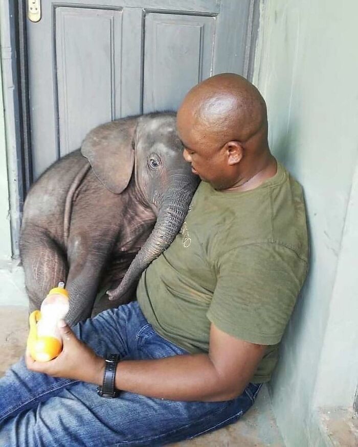 136 Adorable And Beautiful Animals That Might Brighten Up Your Day