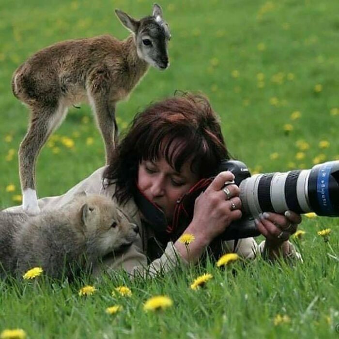 136 Adorable And Beautiful Animals That Might Brighten Up Your Day
