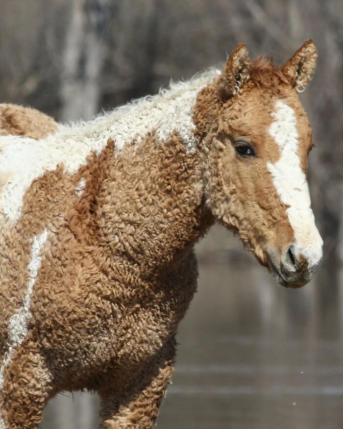 136 Adorable And Beautiful Animals That Might Brighten Up Your Day